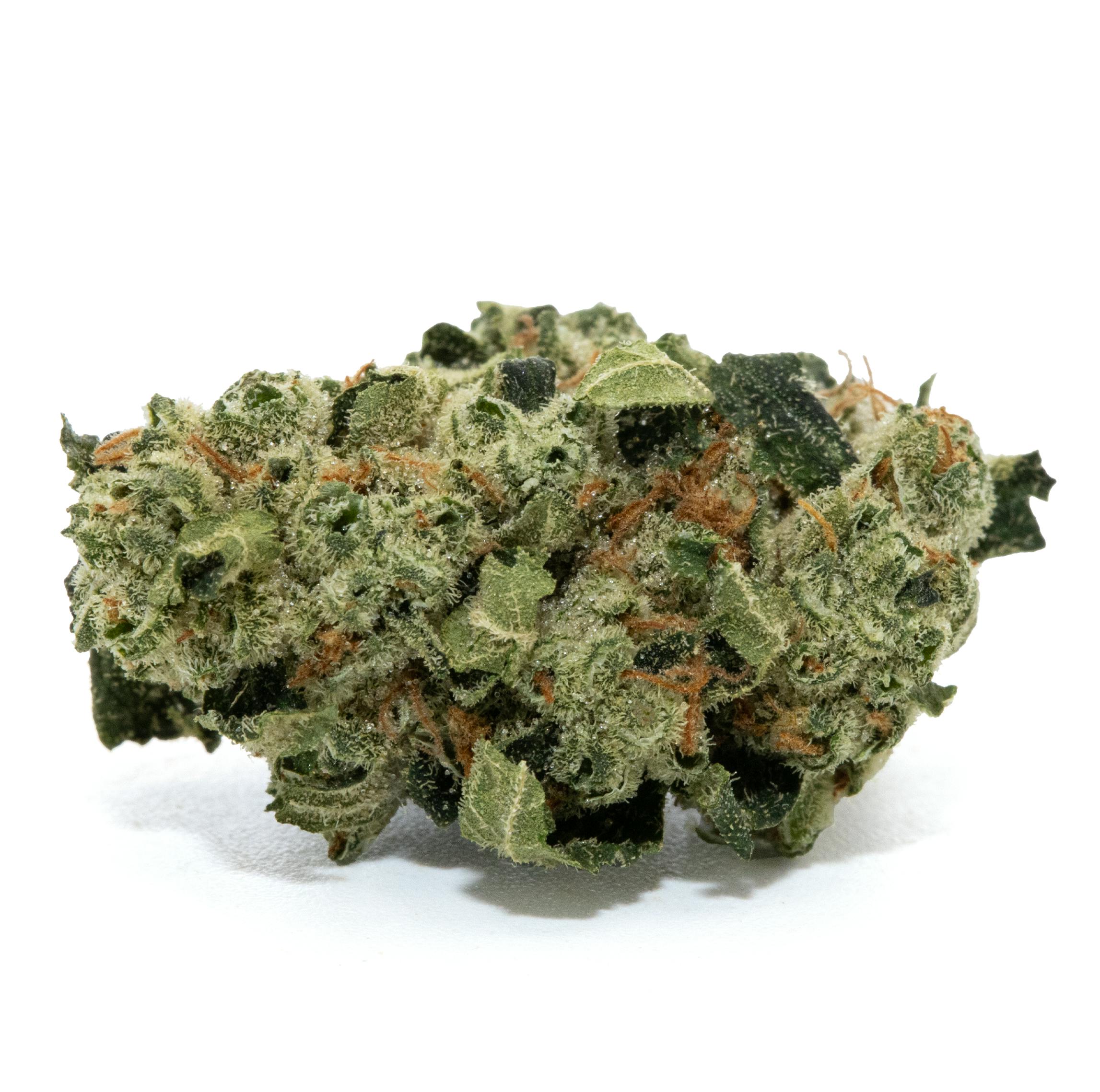 POINT BREAK POPCORN [14G]