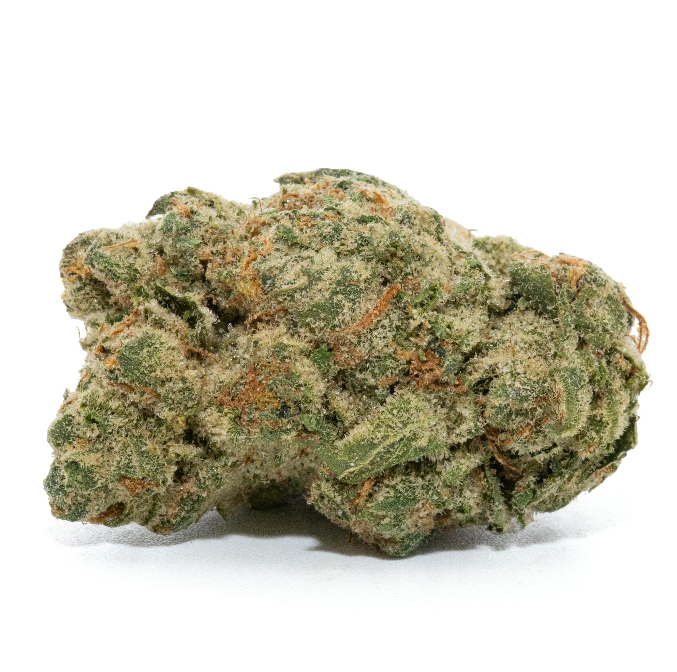 LATE NIGHT | ELEPHANT EARS [3.5G]