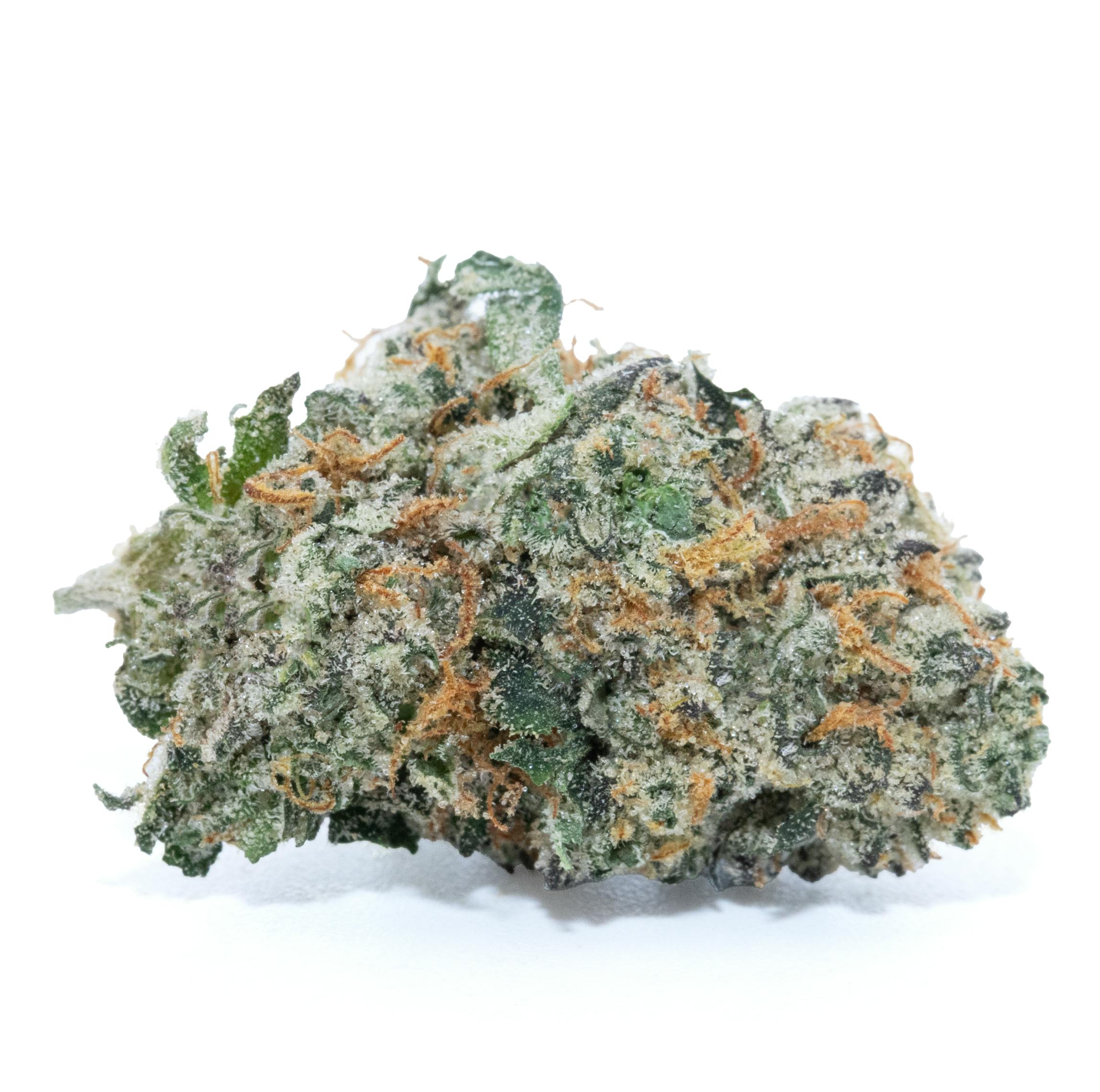 CHEM DAWG [3.5G]