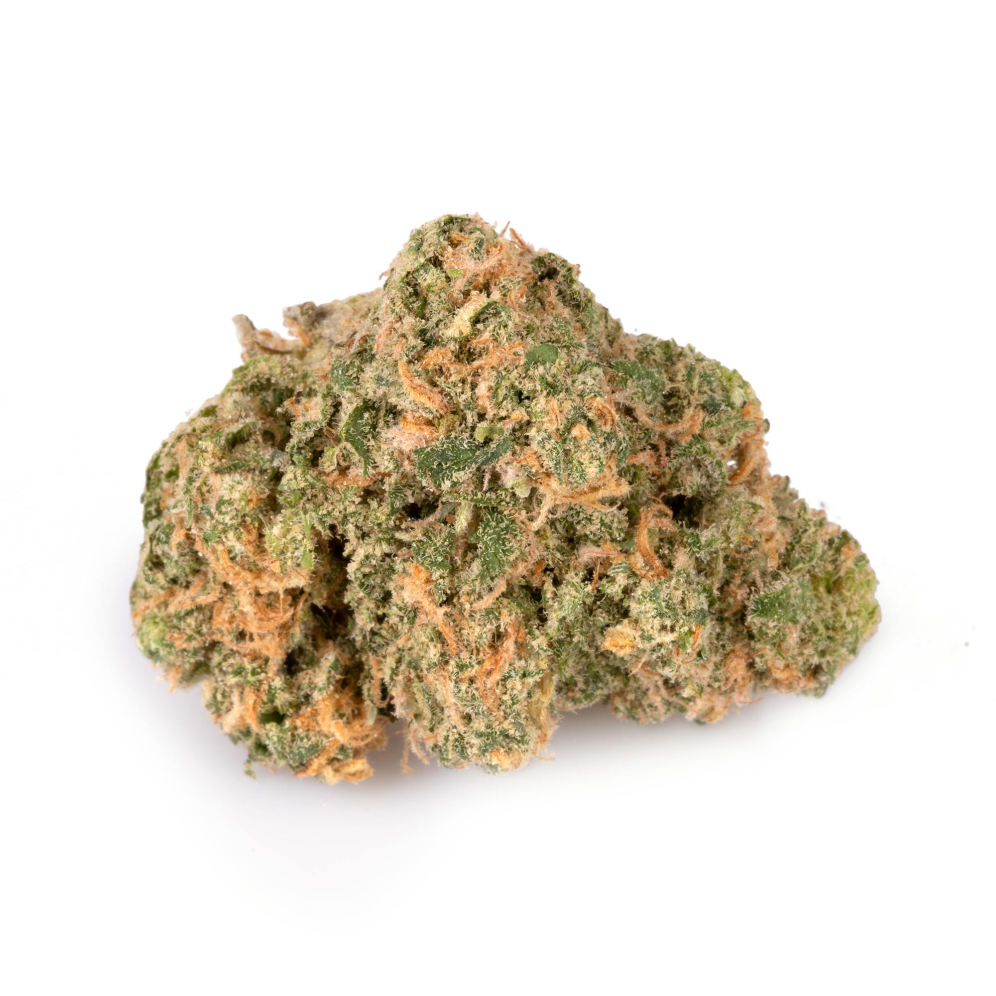 BLUE MAUI [3.5G]
