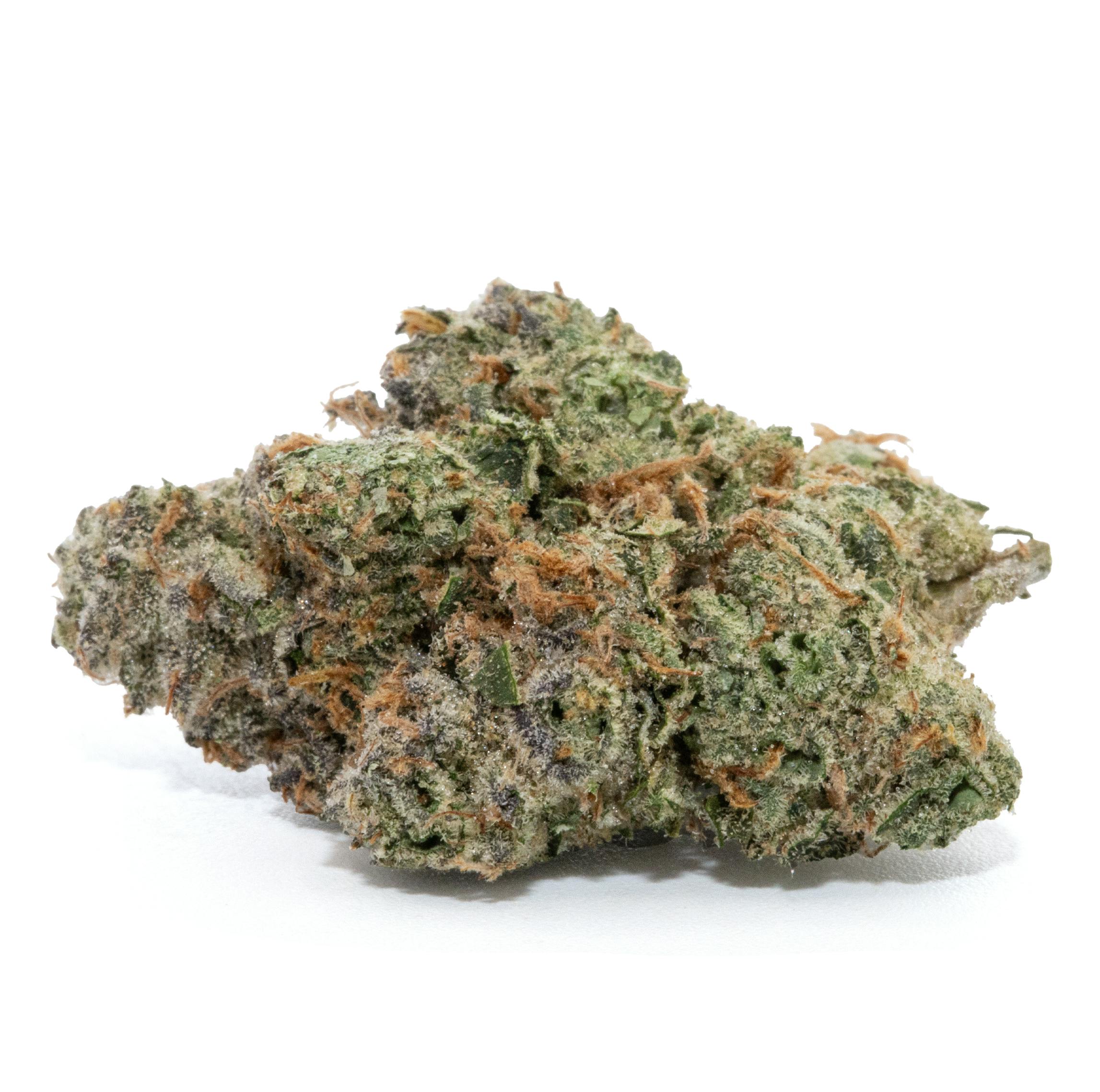 GARY PAYTON POPCORN [14G]