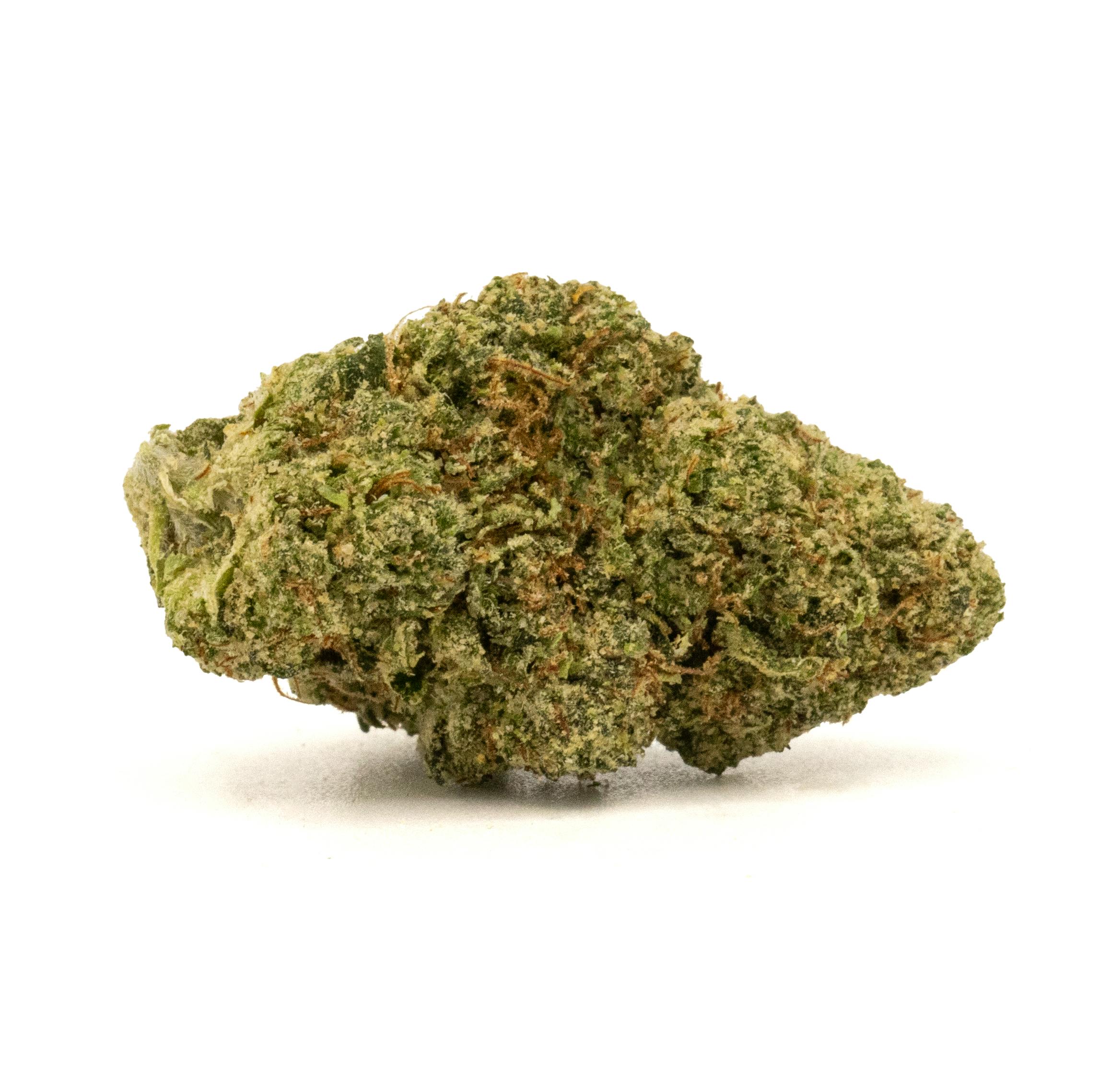 CRANBERRY Z [3.5G]