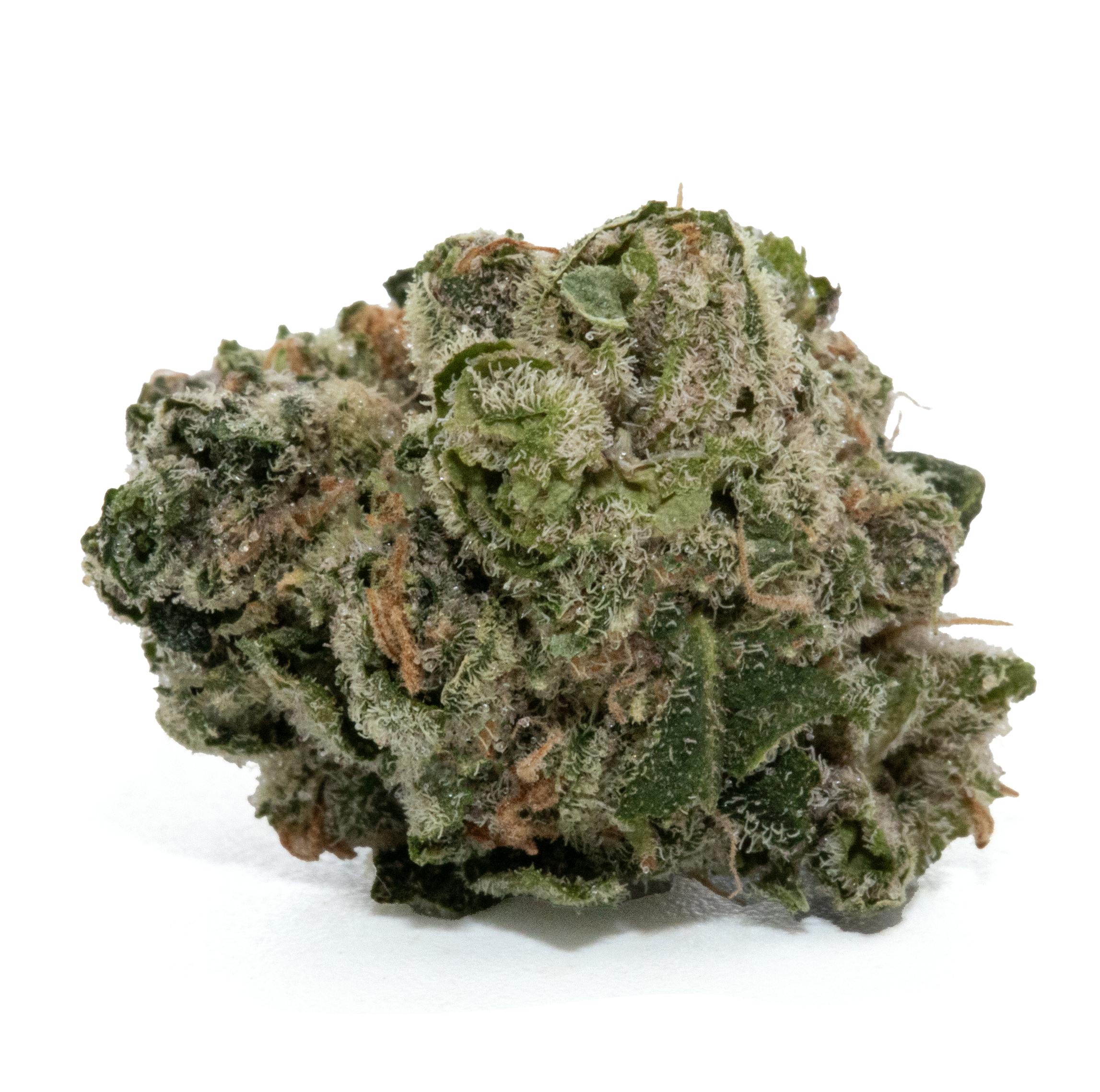 ROSE SORBET [3.5G]