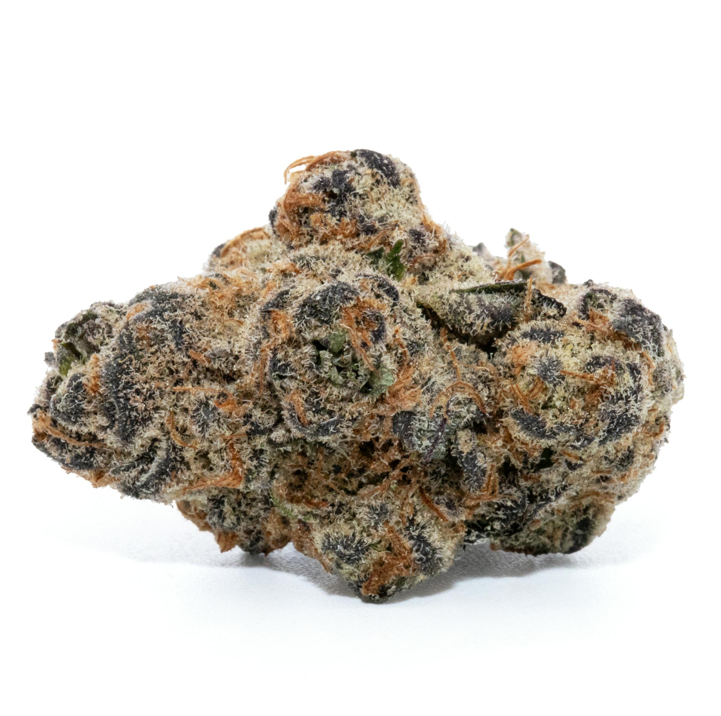 GLITTER BOMB [3.5G]