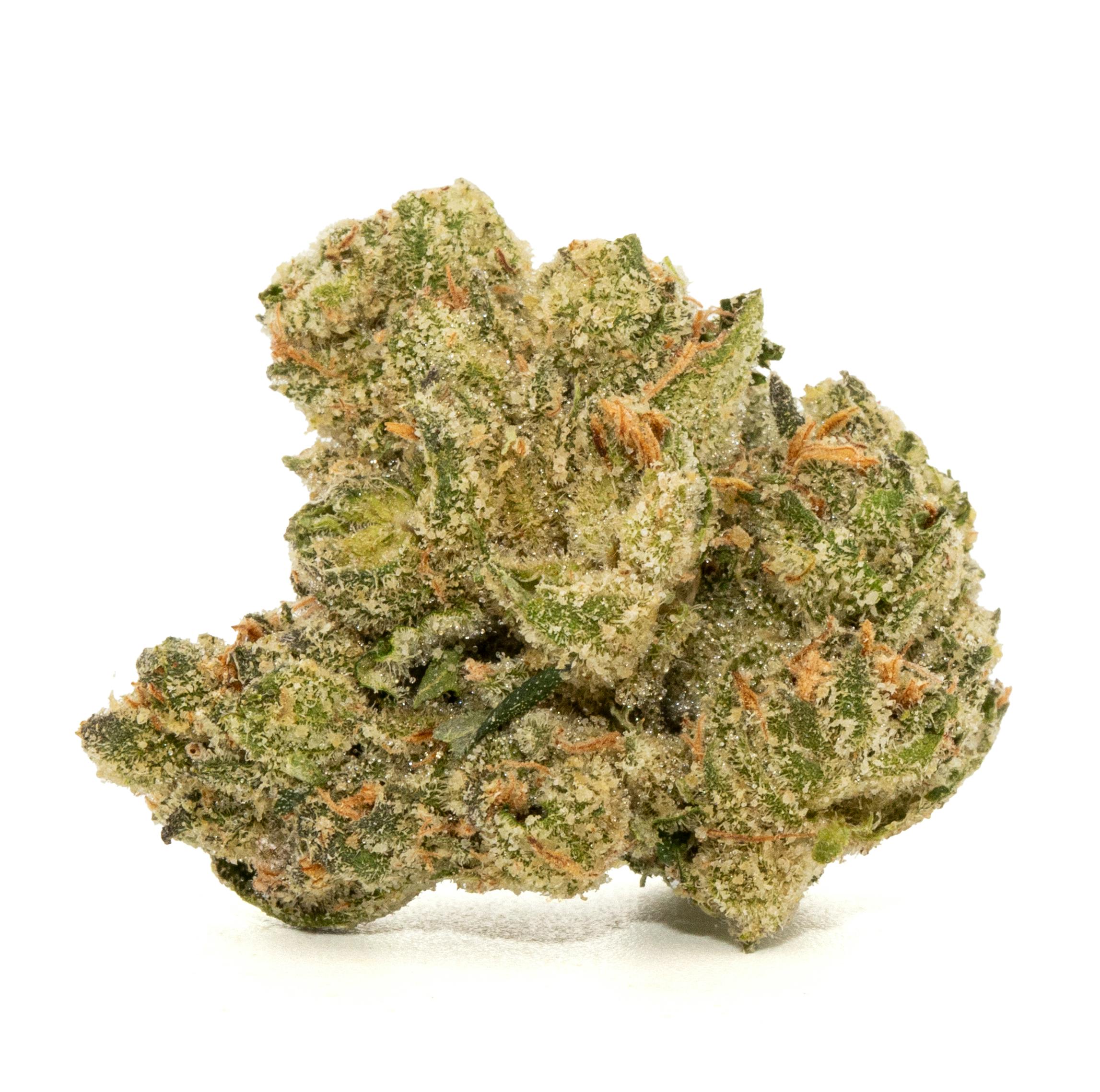 CANAL STREET RUNTZ [5G]