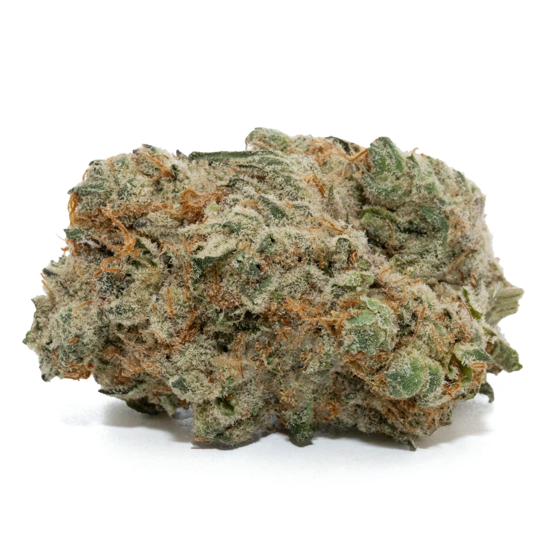 PINEAPPLE FIZZ [14G]