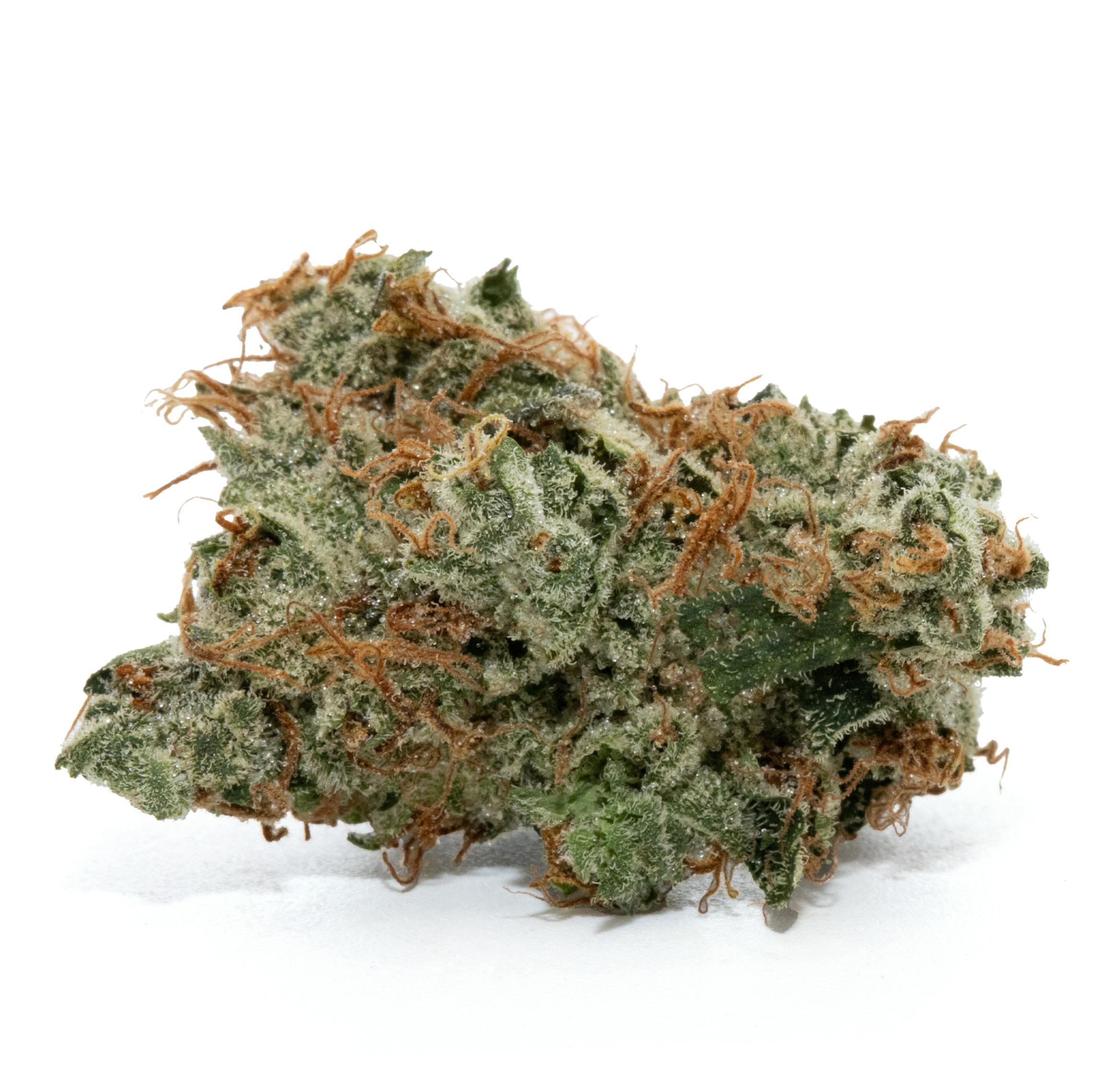 SDOT [3.5G]