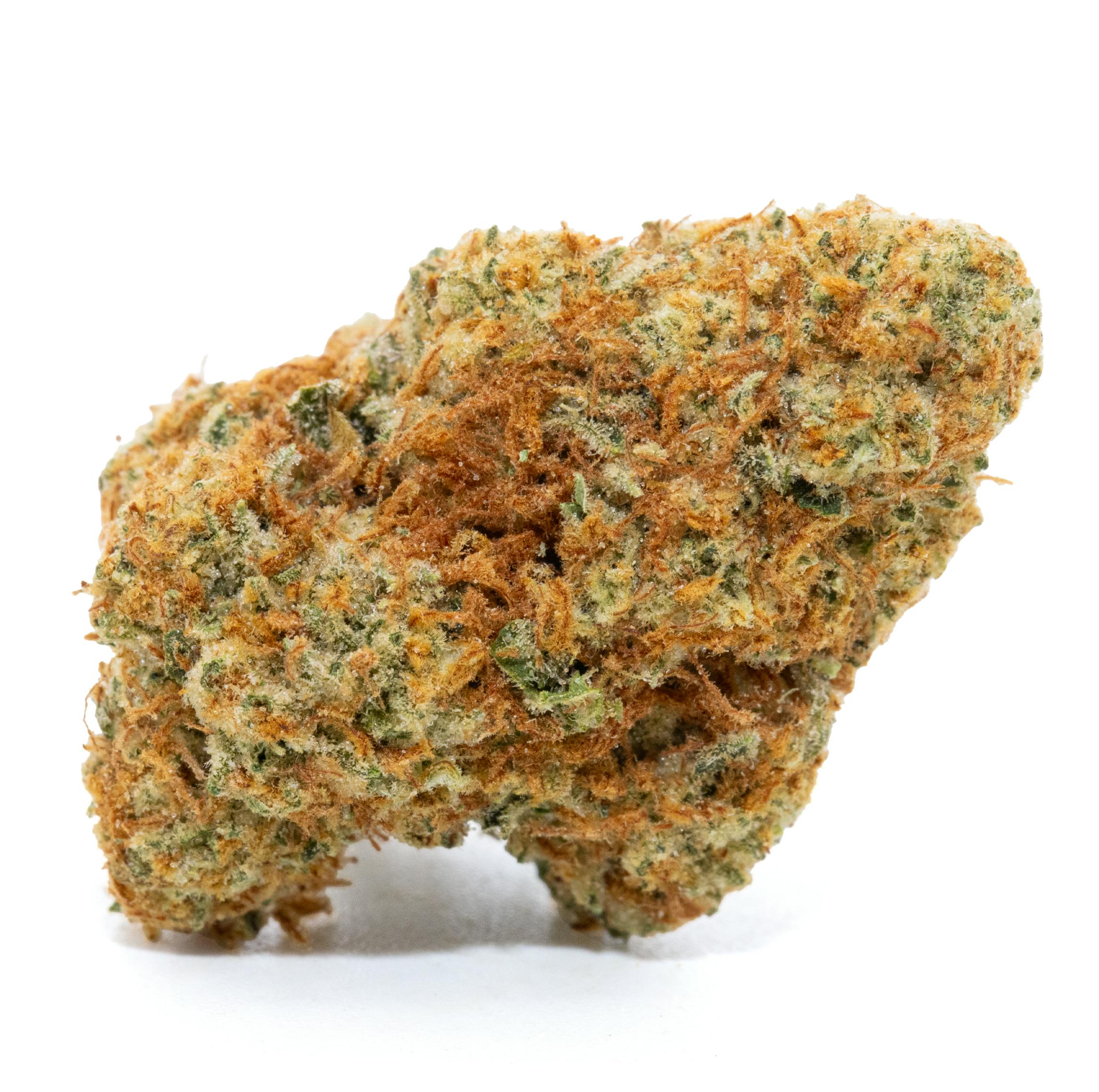 3XOGXGG4 [3.5G]