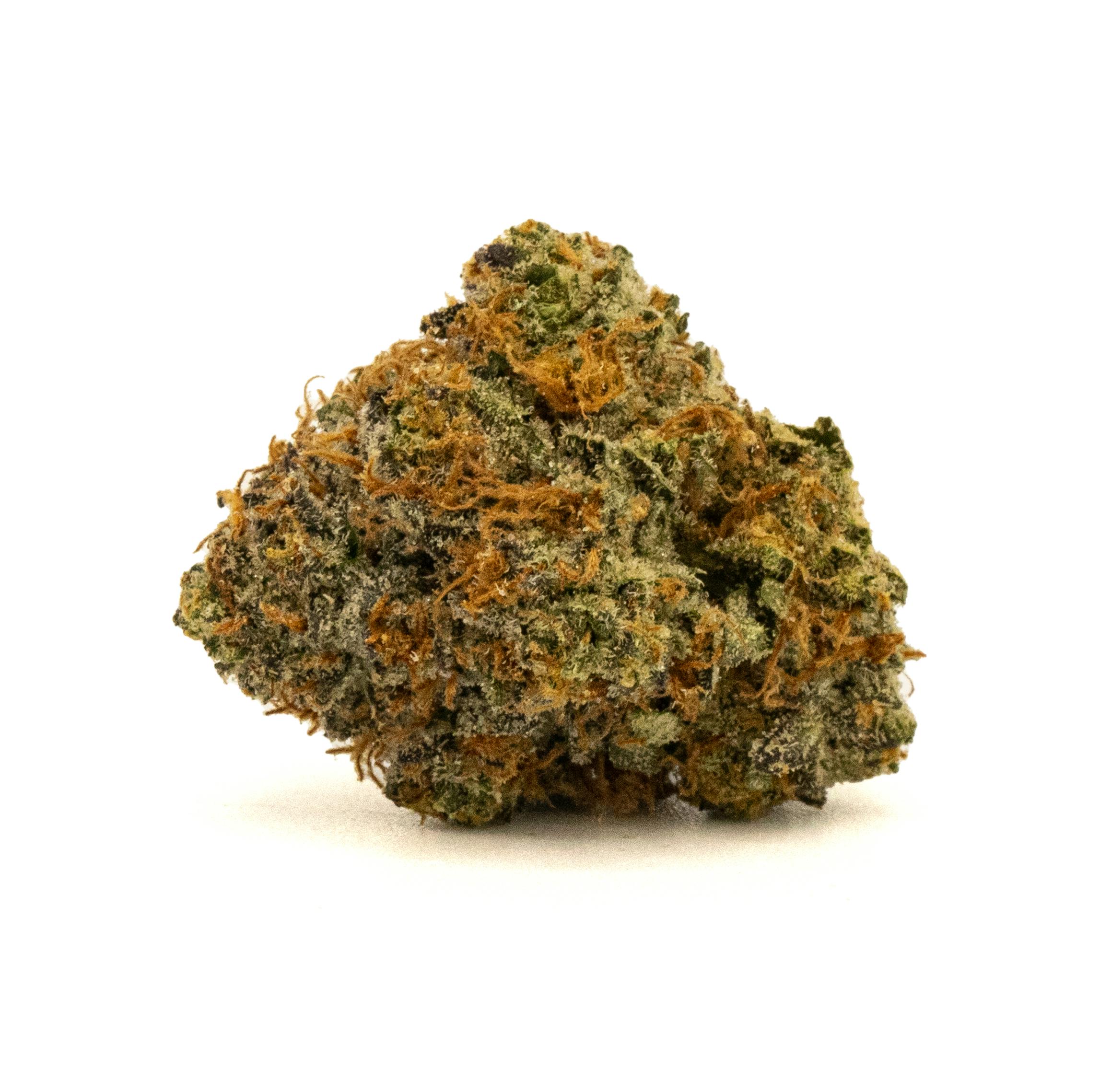 PROMO RS-11 [3.5G]