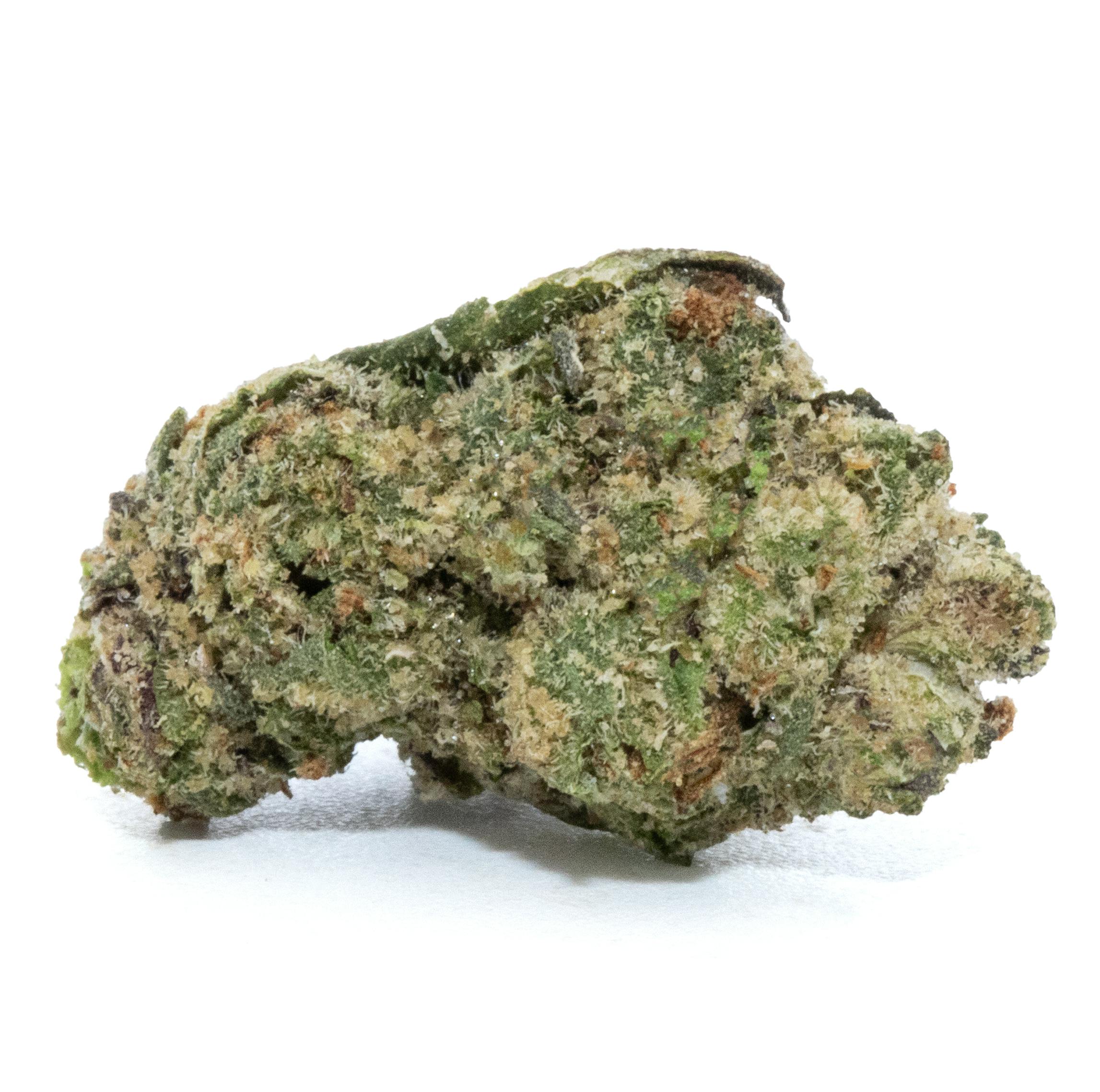 ALPHA POPCORN [14G]