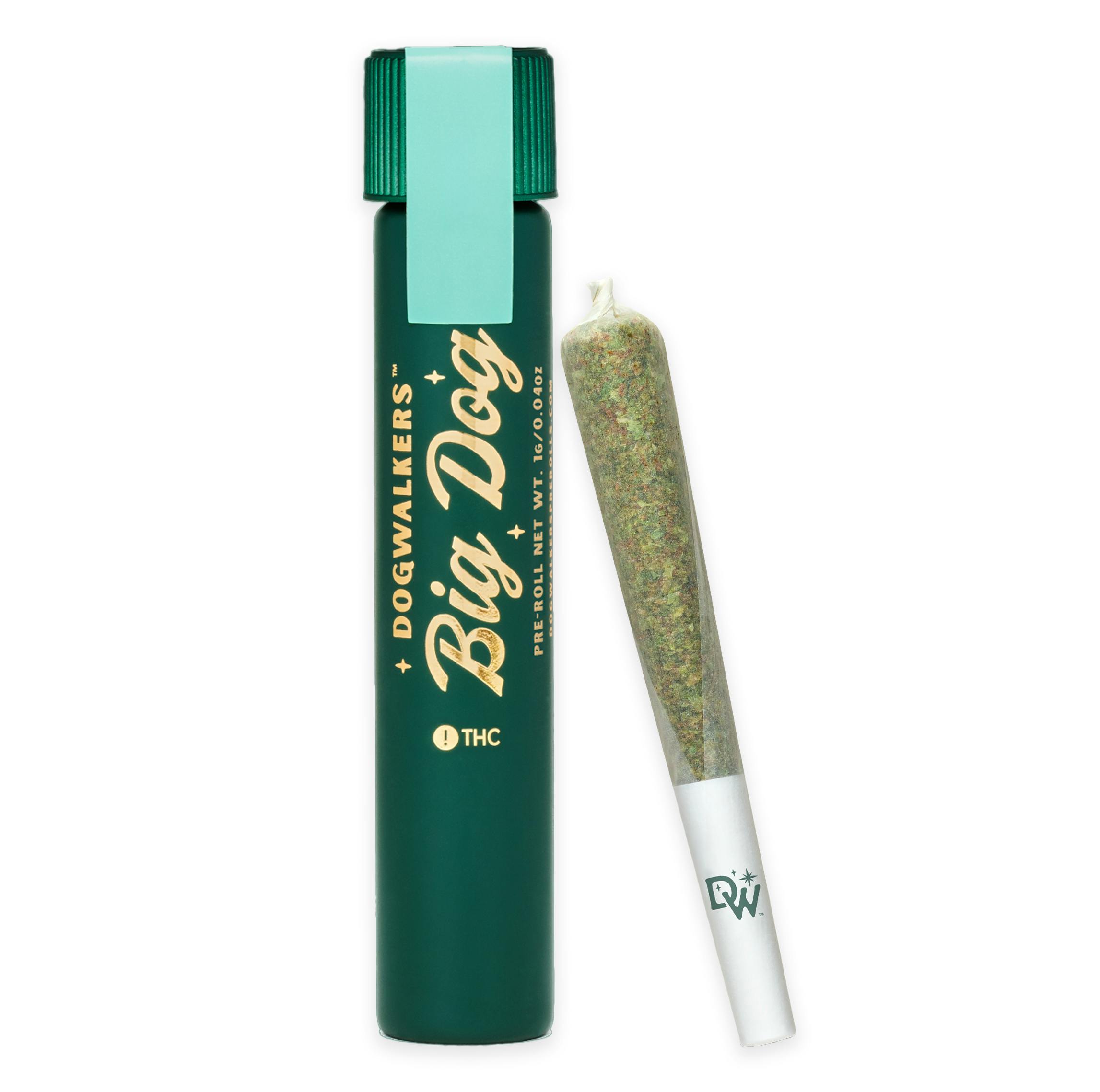 BROWNIE SCOUT PRE-ROLL [1G]