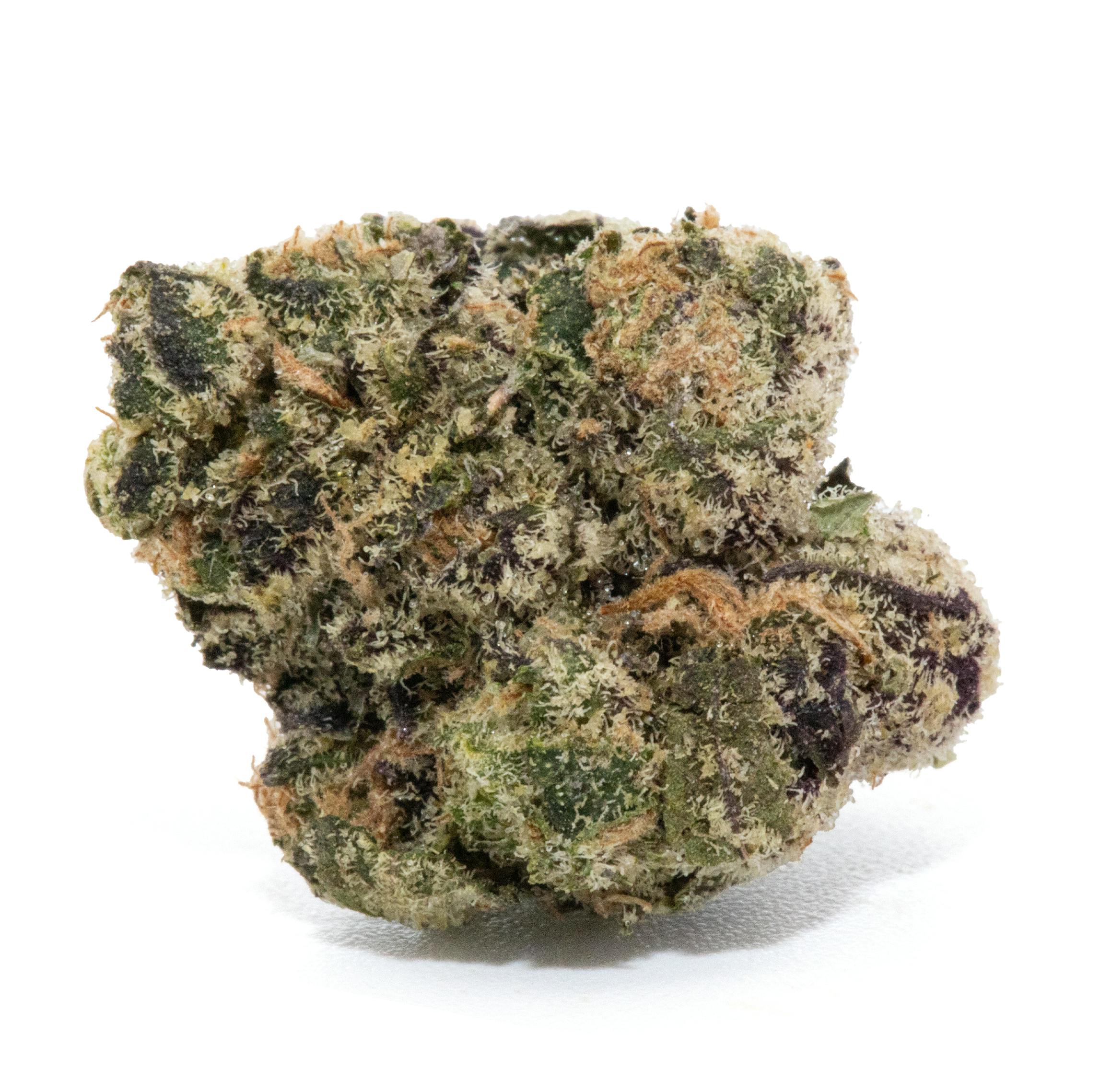 O.B.X. [14G]