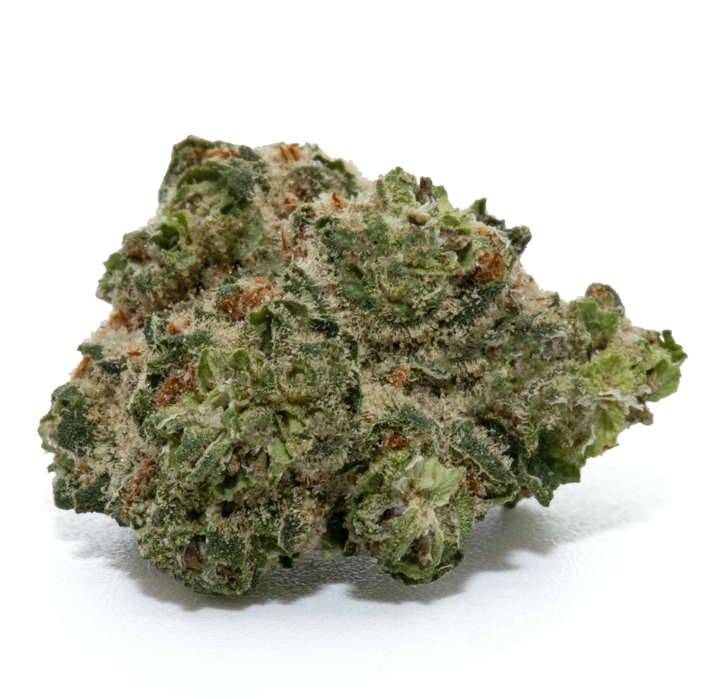 WIFI BARZ POPCORN [14G]
