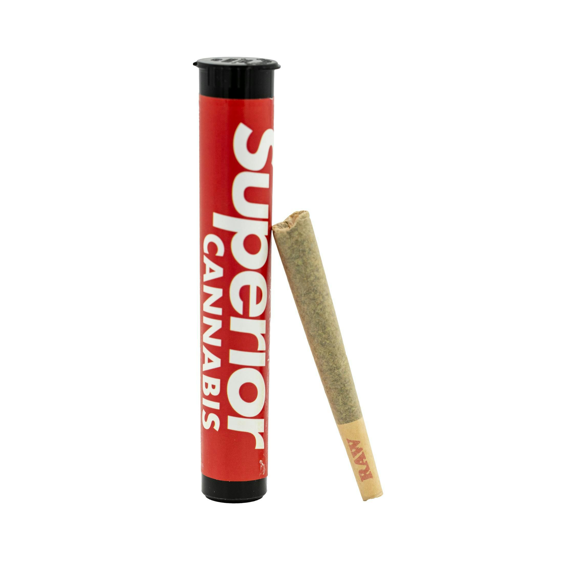 GOVERNMENT OASIS PRE-ROLL [1G]