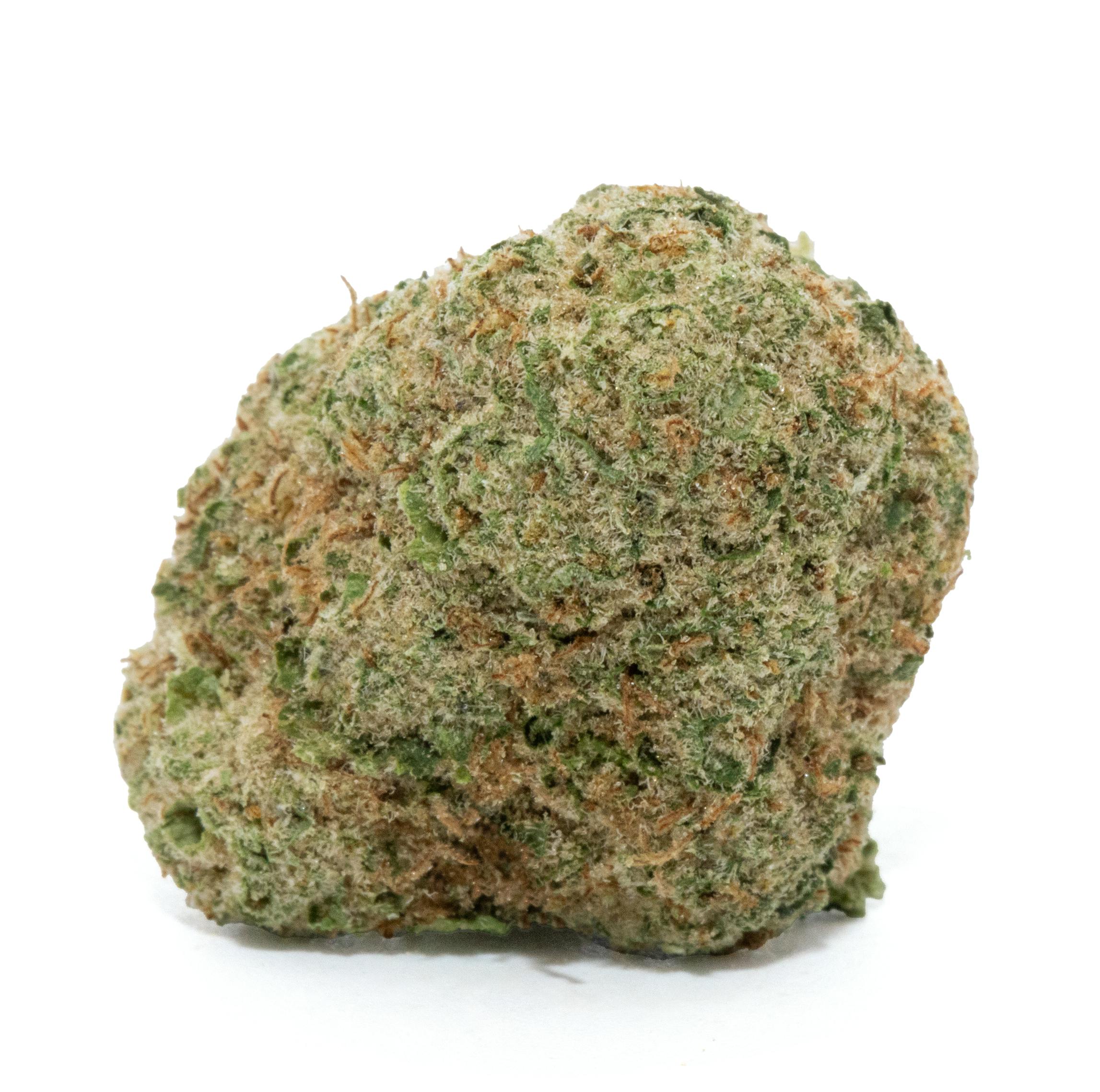 Cheddar Cheeze POPCORN (14g)