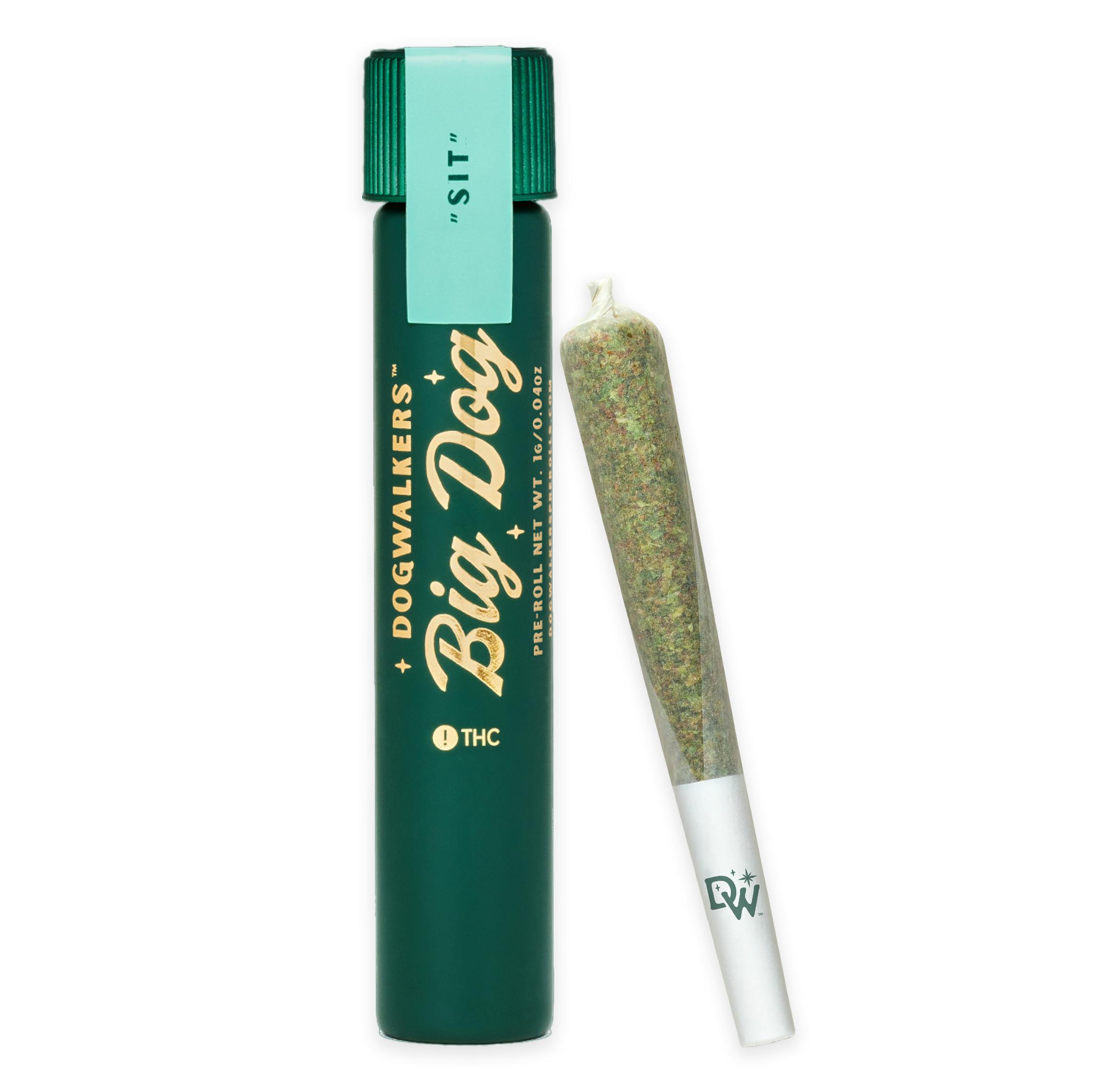 OMG PRE-ROLL [1G]