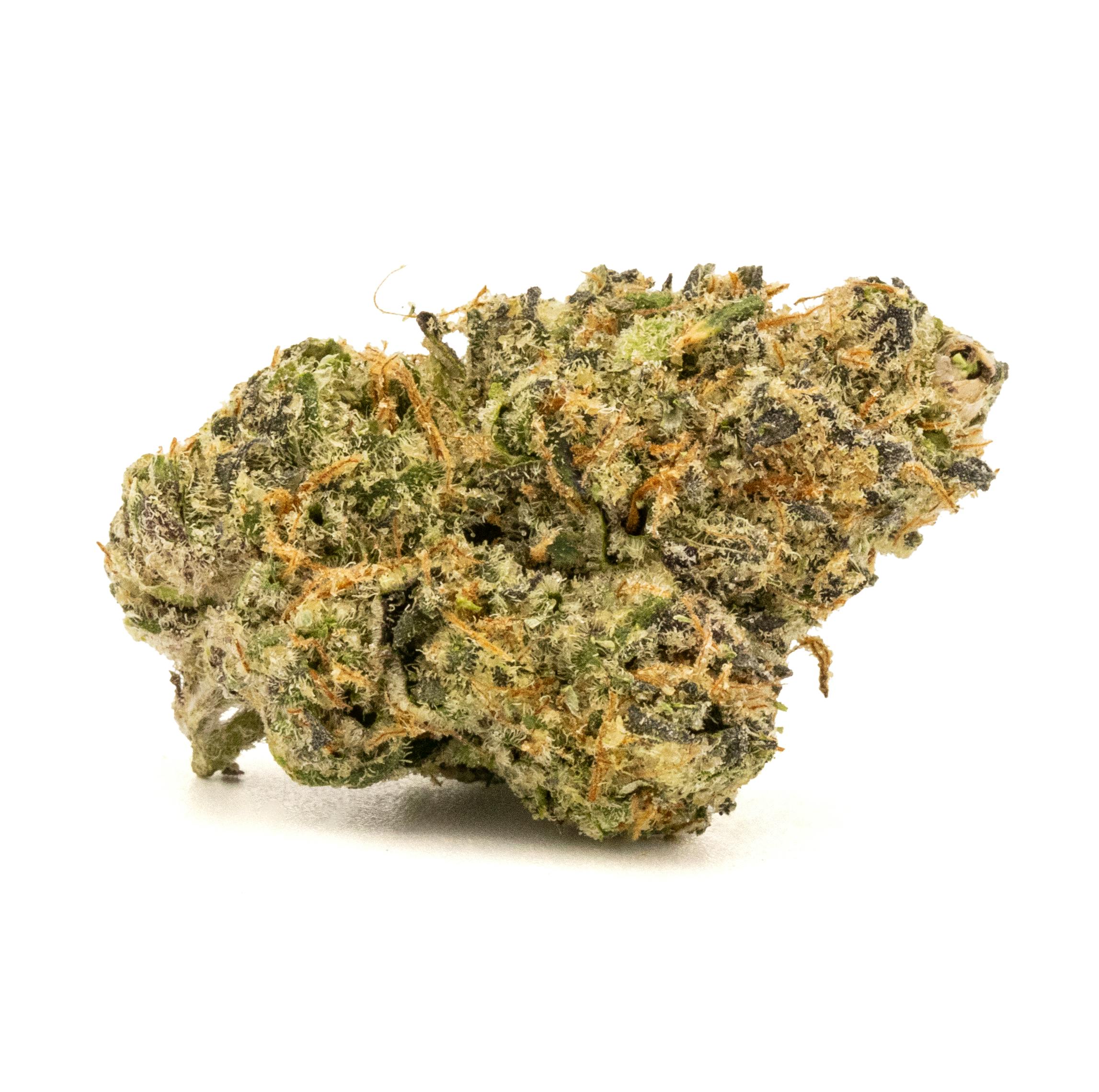 COCONUT MILK [5G]