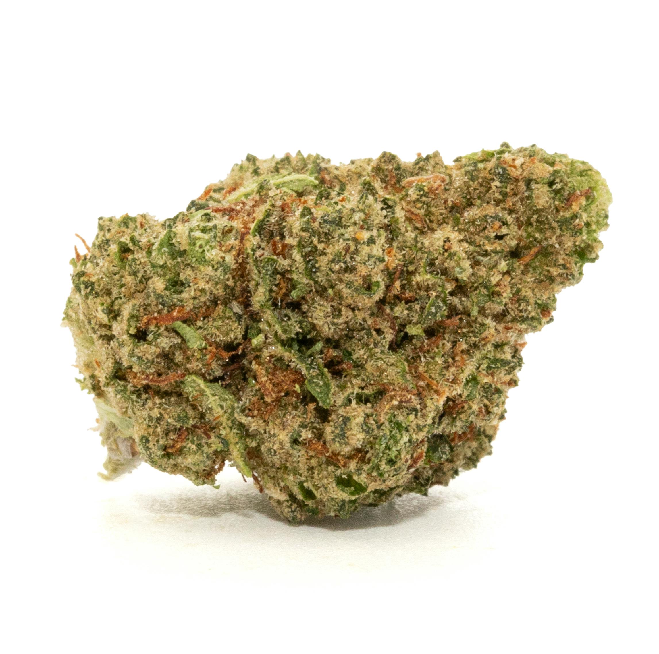 AMNESIA LEMON [14G]