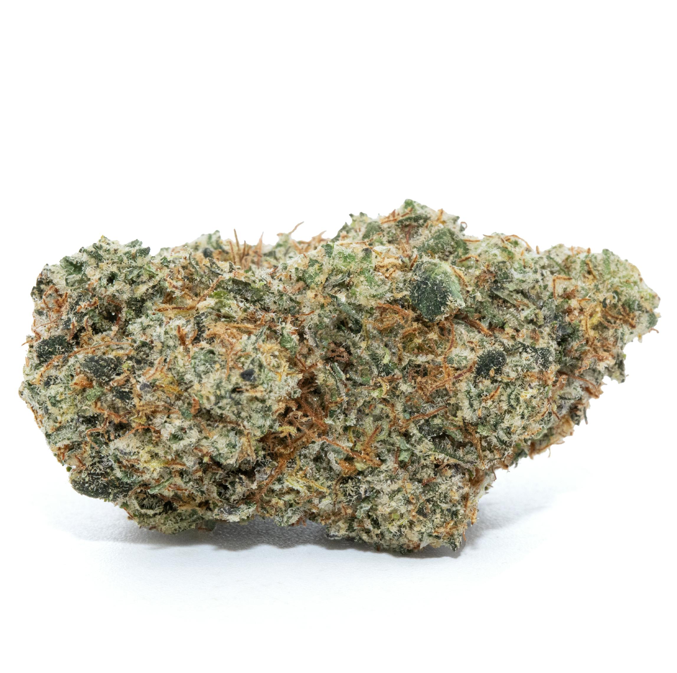 LEMON SHIV [5G]