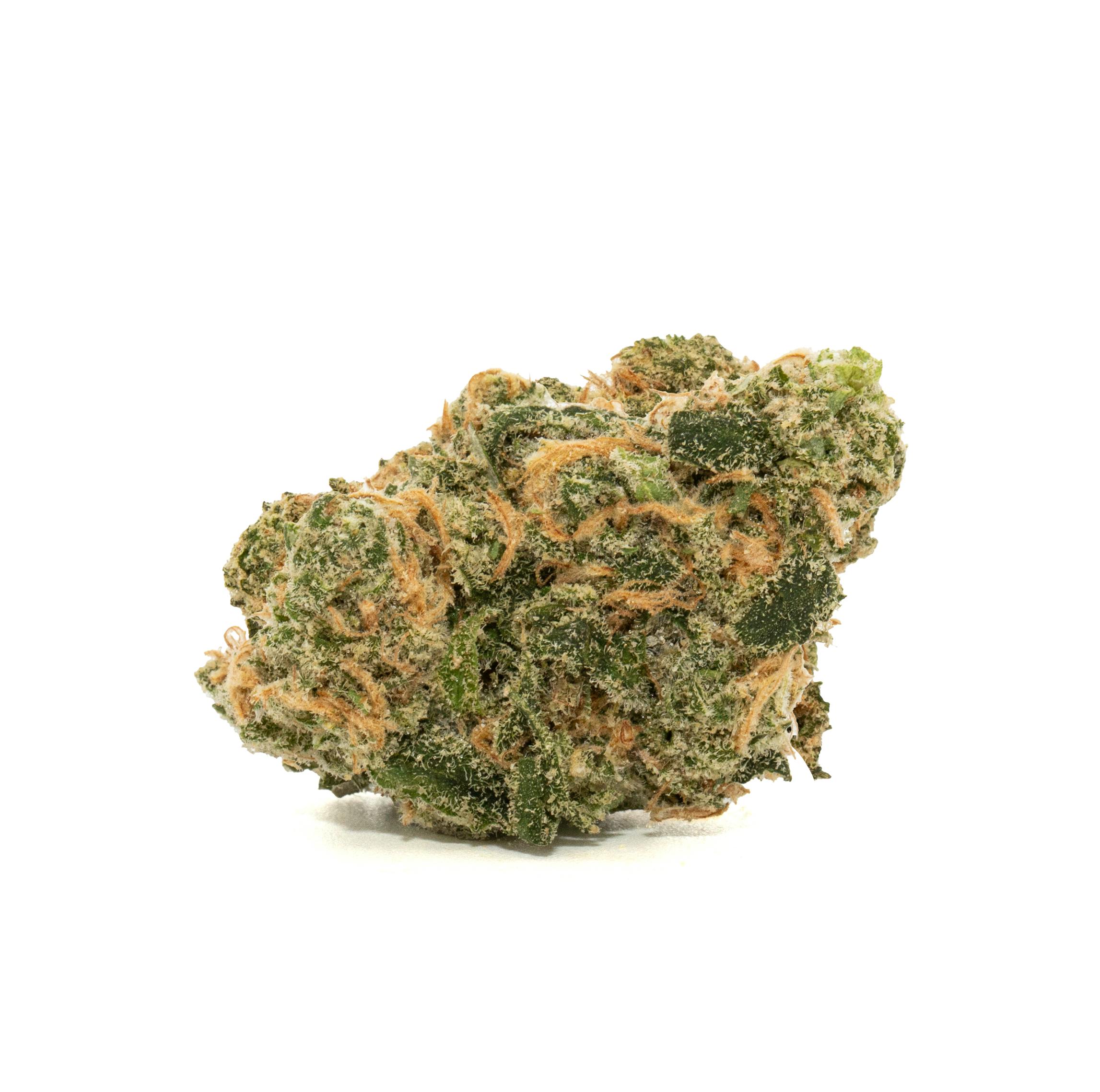 BLUE HASH PLANT [5G]