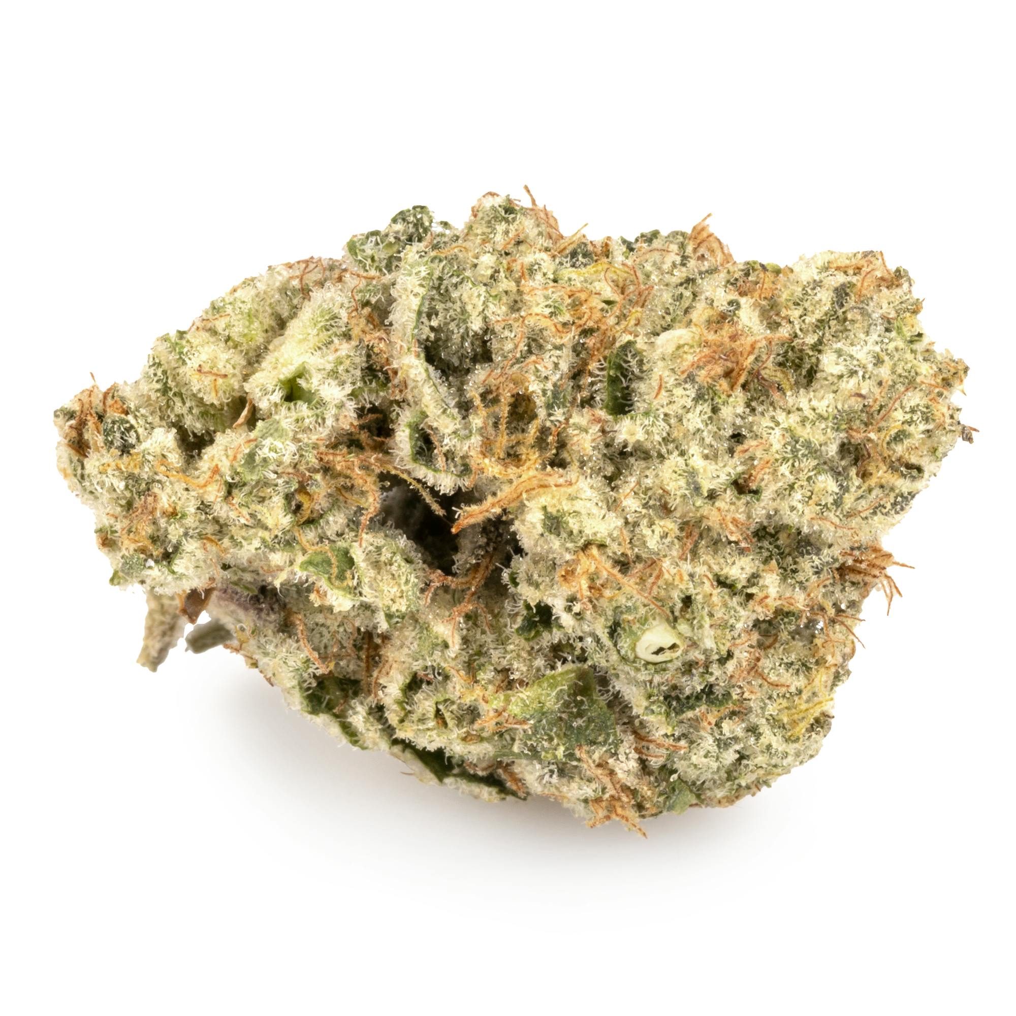 FACE ON FIRE [5G]