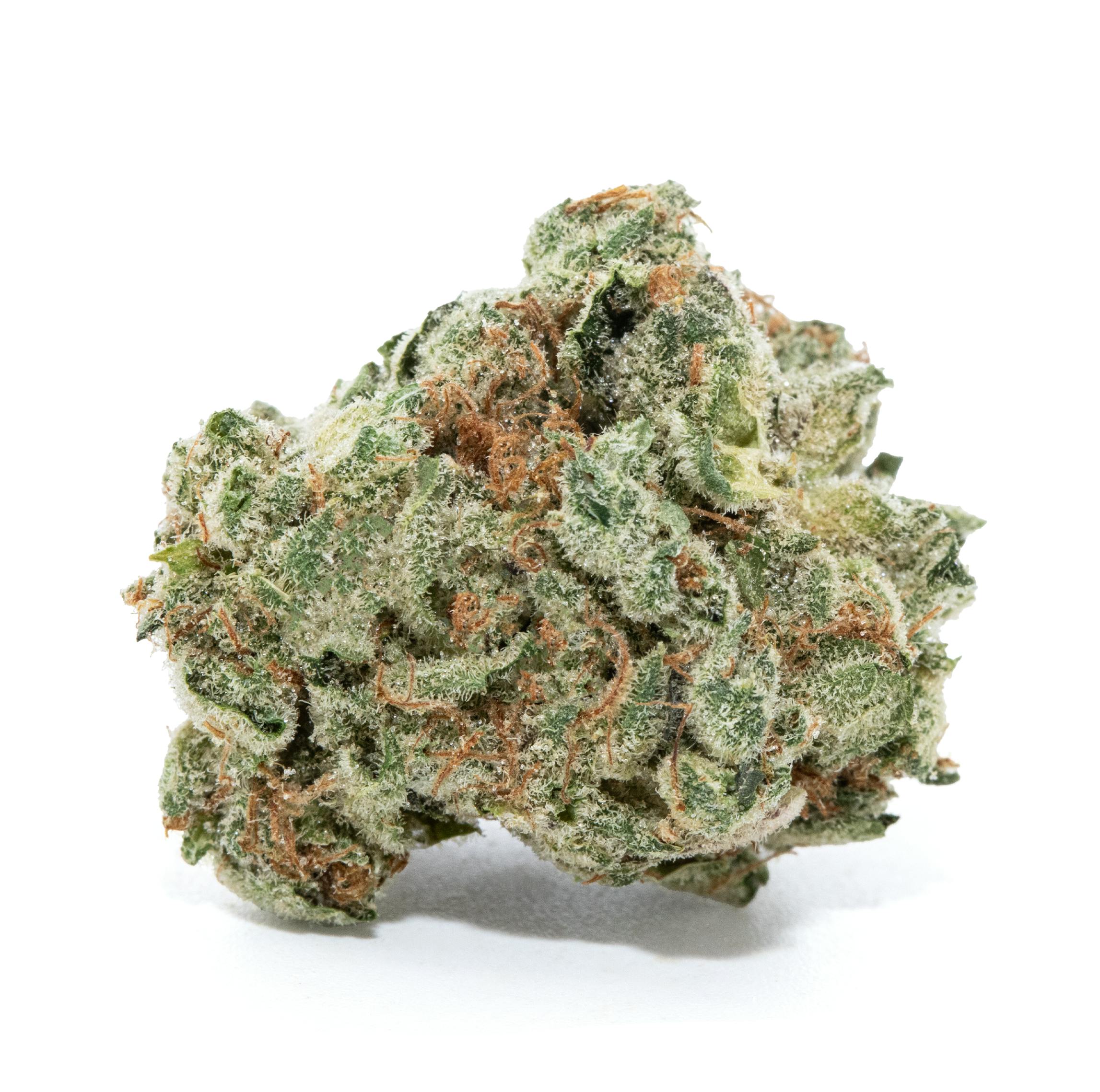 TROPIC SIN #3 [3.5G]
