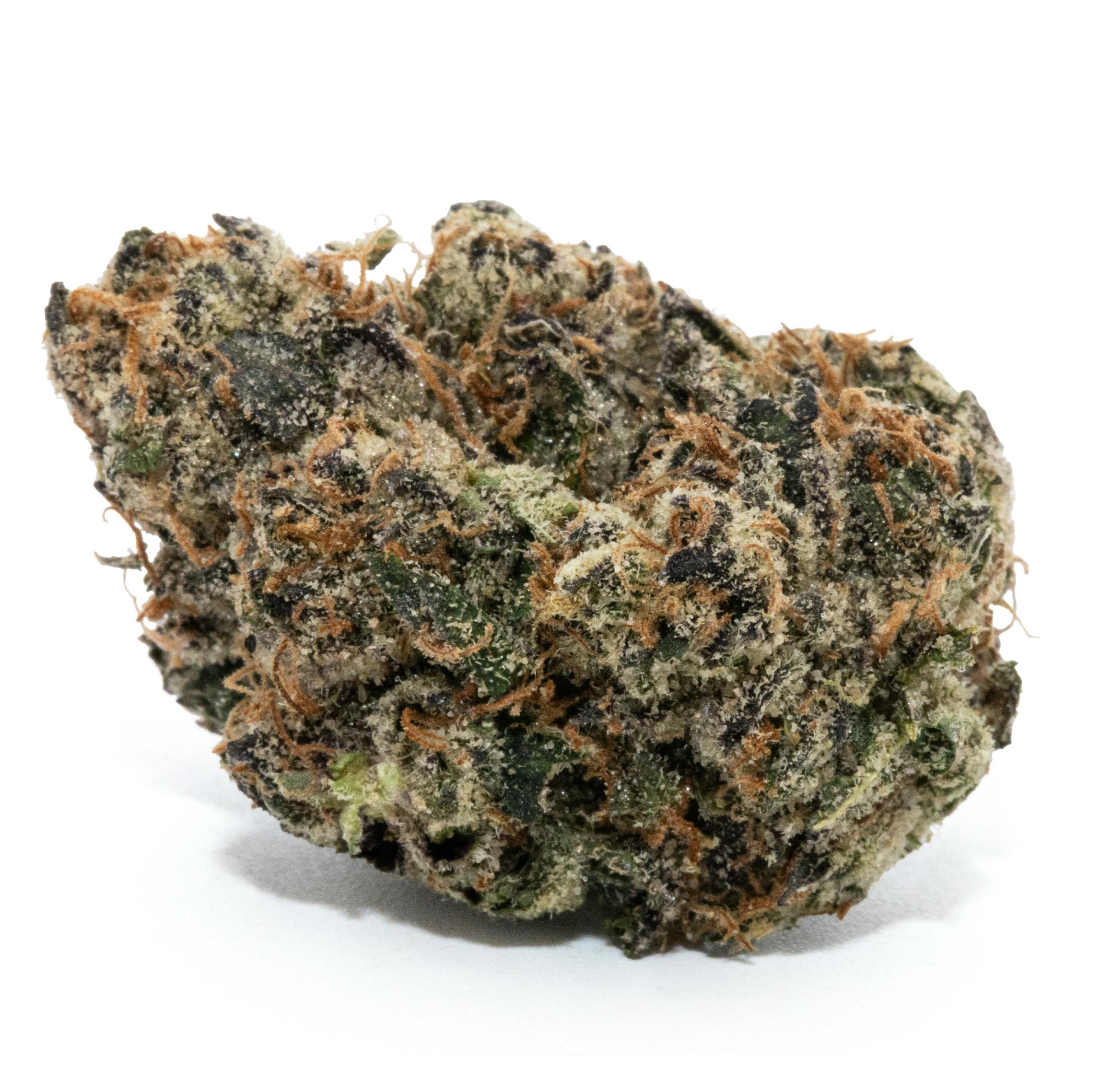 GELATO 33 [3.5G]
