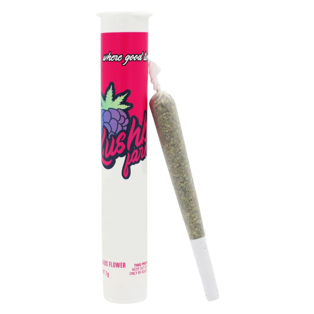 MEDELLIN PRE-ROLL [1G]