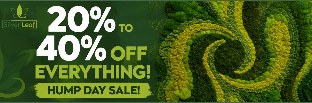 Hump Day Sale