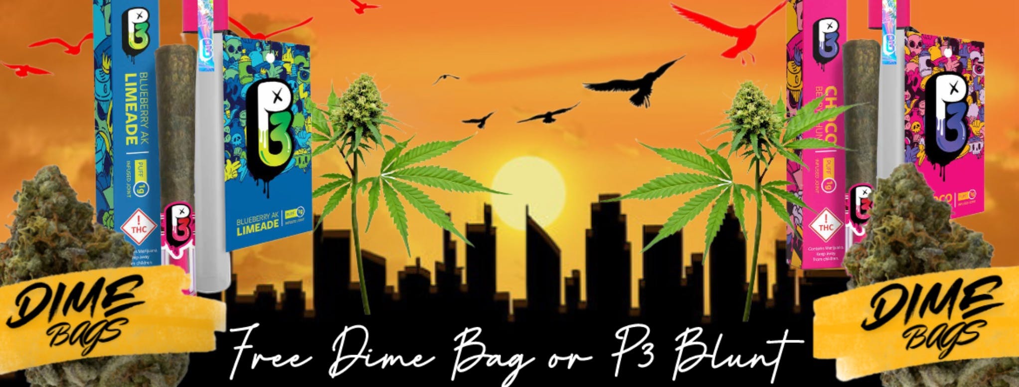 BUY 1 GET 1 FREE  DIME