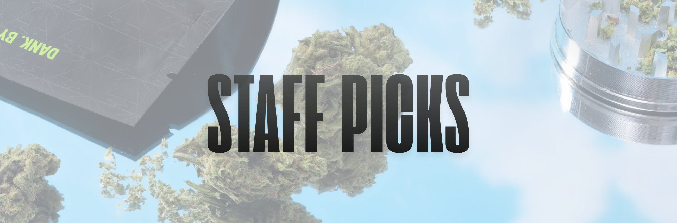 Staff Picks