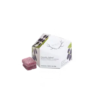 WYLD - Marionberry - 10pk - 100mg