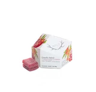 WYLD - Pomegranate 1:1 THC:CBD - 10pk - 100mg
