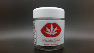 Priscilla's Garden - Peanut Butter Pie (Indoor) - 3.5g