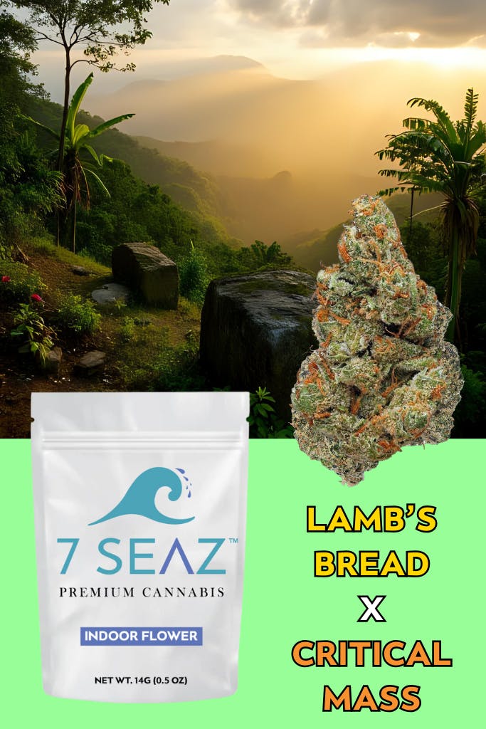 d79f6b58f1dda63b_1755127711398