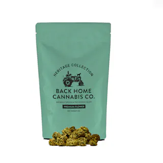 Back Home Cannabis Co - Jack Herer - 14g