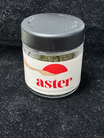 Aster