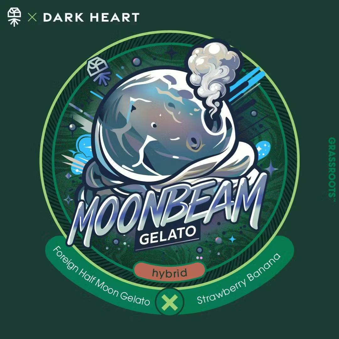サノバロックheat MOON heart & gut vibes EARTH d79f6b58f1dda63b_1761673161545