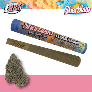 1Slice – Sherblato (Indoor) – 1.1g