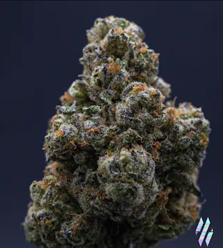 Milkweed - Bluetopia (Indoor Hydroponics) - 3.5g