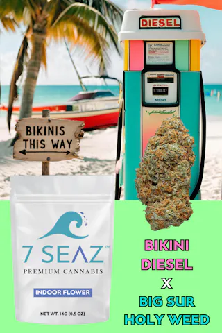 7Seaz - Bikini Diesel x Big Sur Holy Weed (Indoor) - 14g