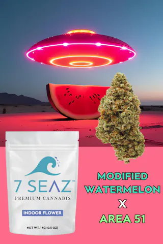 7Seaz – Modified Watermelon x Area 51 (Indoor) – 14g