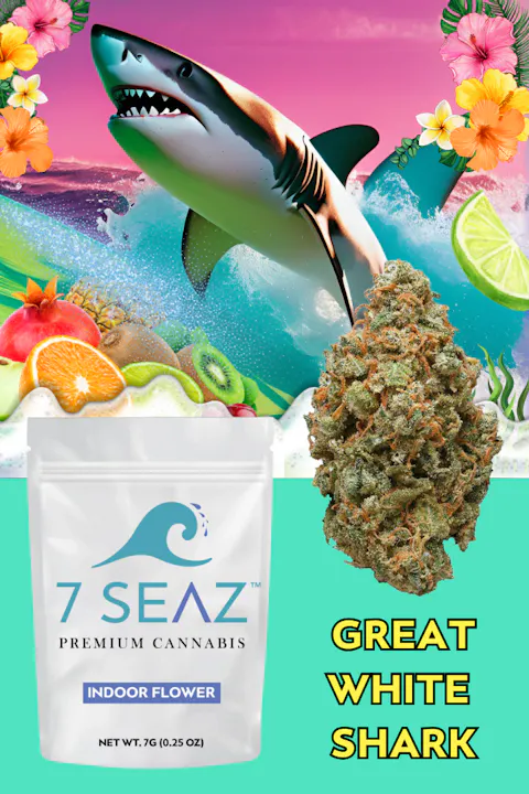 7Seaz - Great White Shark (Indoor) - 7g