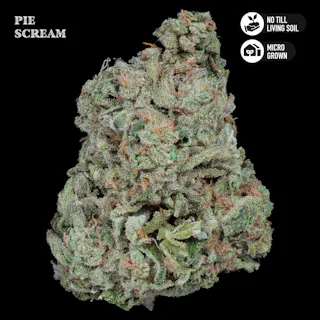 Royal Genetics - Pie Scream (Indoor) - 3.5g