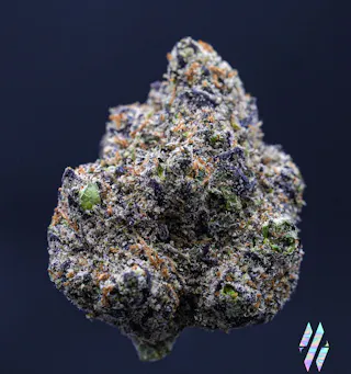 Milkweed - Sunset Sherbert (Indoor Hydroponics) - 3.5g