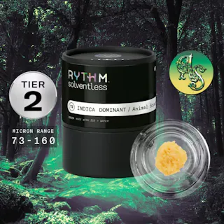 Rythm - Animal Scout - Live Rosin (Solventless) - 2g