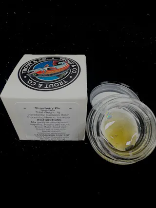 Trout & Co - Strawberry Pie - Fresh Press Rosin - 1g