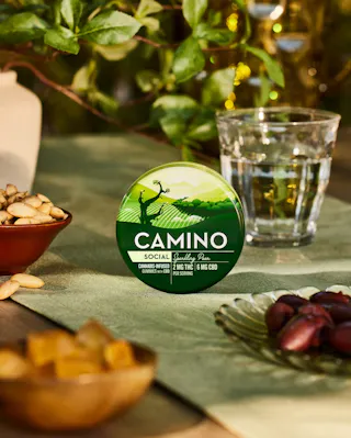 Camino - Sparkling Pear (Social) 1:3 THC:CBD - 20pk - 40mg