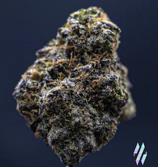 Milkweed - Lemon Cherry Gelato (Indoor Hydroponics) - 3.5g