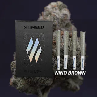 Milkweed - Nino Brown (Indoor Hydroponics) - 4pk - .75g